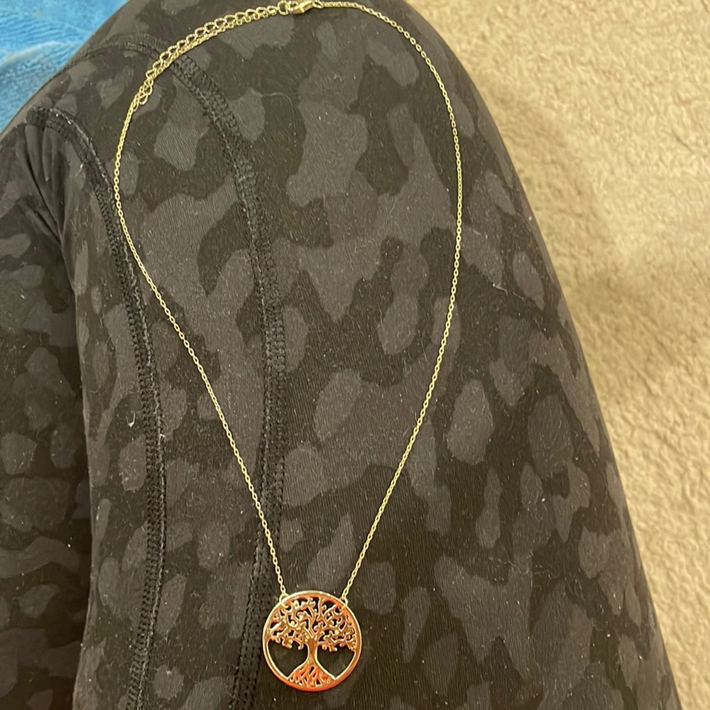Necklace (never worn)